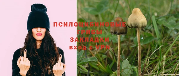 ПСИЛОЦИБИНОВЫЕ ГРИБЫ Пересвет