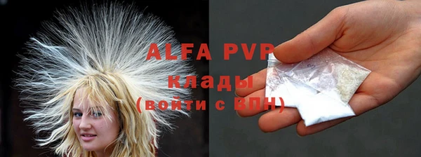 ПСИЛОЦИБИНОВЫЕ ГРИБЫ Пересвет