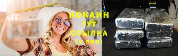 скорость Пестово