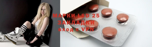 ПСИЛОЦИБИНОВЫЕ ГРИБЫ Пересвет