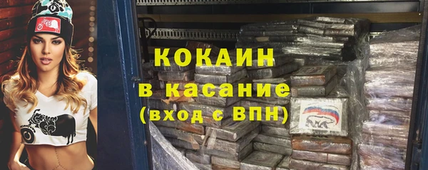 ПСИЛОЦИБИНОВЫЕ ГРИБЫ Пересвет