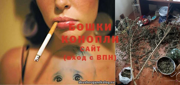 ПСИЛОЦИБИНОВЫЕ ГРИБЫ Пересвет